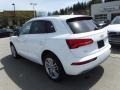 Ibis White - Q5 2.0 TFSI Premium Plus quattro Photo No. 14