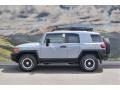 Trail Teams Cement Gray - FJ Cruiser 4WD Photo No. 6