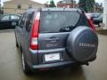 2005 Pewter Pearl Honda CR-V Special Edition 4WD  photo #2