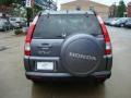 2005 Pewter Pearl Honda CR-V Special Edition 4WD  photo #3