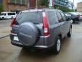 2005 Pewter Pearl Honda CR-V Special Edition 4WD  photo #4