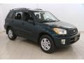 2002 Rainforest Green Pearl Toyota RAV4  #120125851