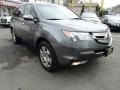 Nimbus Gray Metallic - MDX Technology Photo No. 3