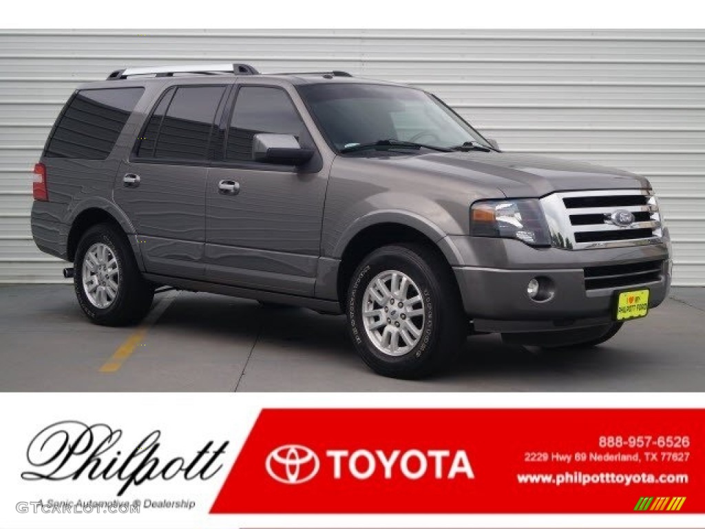 2014 Expedition Limited - Sterling Gray / Charcoal Black photo #1