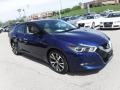 Deep Blue Pearl - Maxima Platinum Photo No. 7