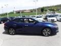 Deep Blue Pearl - Maxima Platinum Photo No. 8