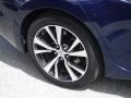 Deep Blue Pearl - Maxima Platinum Photo No. 10