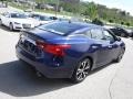 Deep Blue Pearl - Maxima Platinum Photo No. 11