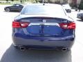Deep Blue Pearl - Maxima Platinum Photo No. 13