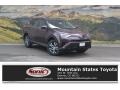 2017 Black Current Metallic Toyota RAV4 LE AWD  photo #1