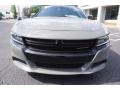 Destroyer Grey - Charger R/T Photo No. 2