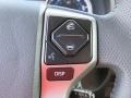 Magnetic Gray Metallic - 4Runner SR5 Premium Photo No. 20
