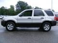 2005 Silver Metallic Ford Escape XLT V6  photo #2