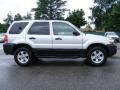 2005 Silver Metallic Ford Escape XLT V6  photo #6