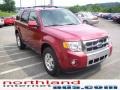 2009 Sangria Red Metallic Ford Escape Limited 4WD  photo #5