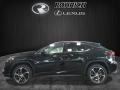 Obsidian - RX 350 AWD Photo No. 3