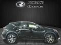 Obsidian - NX 200t AWD Photo No. 2