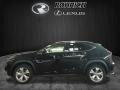Obsidian - NX 200t AWD Photo No. 3