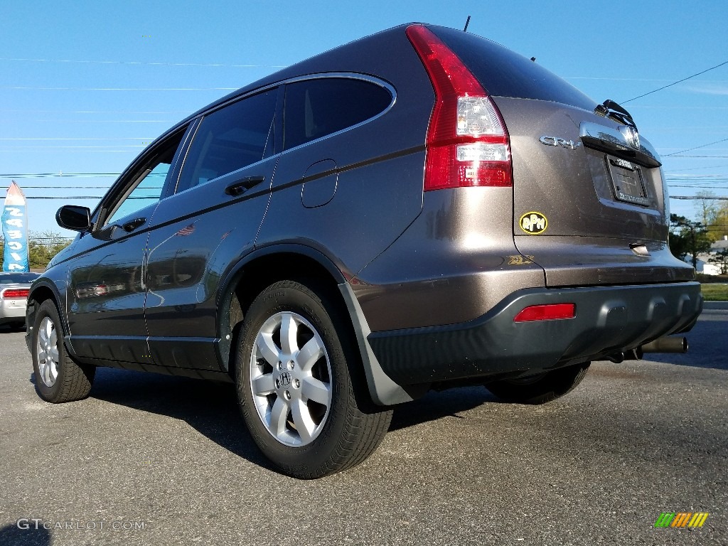 2009 CR-V EX 4WD - Borrego Beige Metallic / Gray photo #2