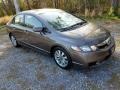 2010 Urban Titanium Metallic Honda Civic EX-L Sedan  photo #3