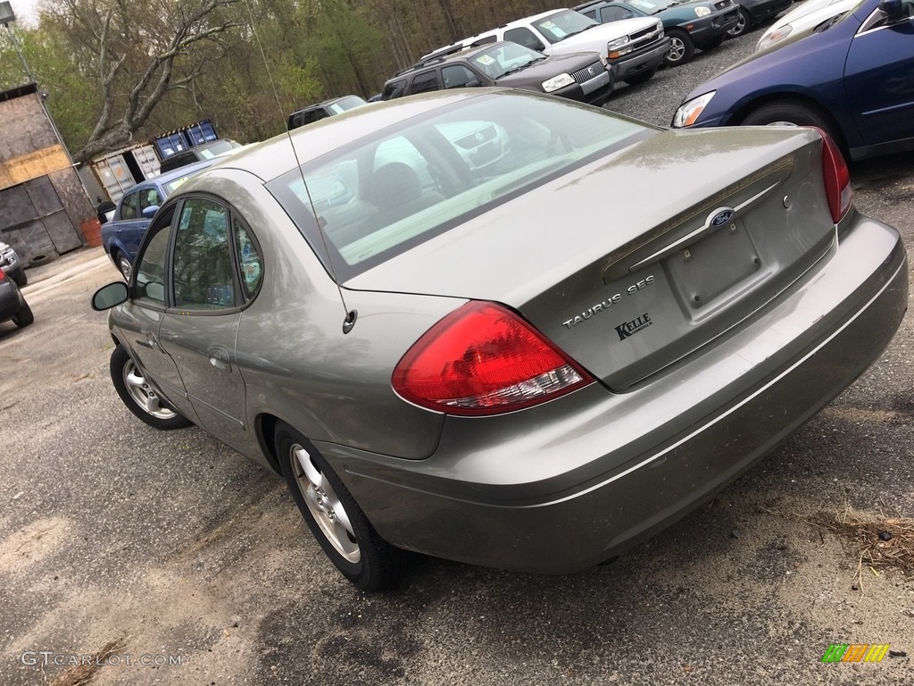2004 Taurus SES Sedan - Arizona Beige Metallic / Medium Parchment photo #5