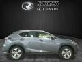 Nebula Gray Pearl - NX 200t AWD Photo No. 2