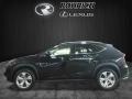 Obsidian - NX 200t AWD Photo No. 3