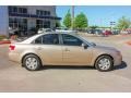 2007 Golden Beige Hyundai Sonata GLS  photo #8