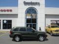 2007 Jeep Green Metallic Jeep Grand Cherokee Laredo 4x4  photo #1