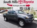 Magnetic Gray Metallic 2010 Toyota Tacoma V6 SR5 TRD Sport Double Cab 4x4