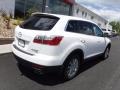 Crystal White Pearl Mica - CX-9 Touring AWD Photo No. 9