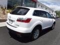 2010 Crystal White Pearl Mica Mazda CX-9 Touring AWD  photo #9