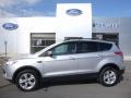 2013 Ingot Silver Metallic Ford Escape SE 2.0L EcoBoost 4WD  photo #1