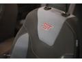 Magnetic - Focus ST Hatch Photo No. 8