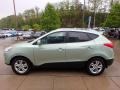 2012 Kiwi Green Hyundai Tucson GLS AWD  photo #6