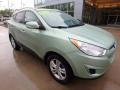 2012 Kiwi Green Hyundai Tucson GLS AWD  photo #9