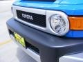 Voodoo Blue - FJ Cruiser 4WD Photo No. 11