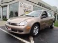 2001 Cinnamon Glaze Metallic Dodge Neon SE  photo #1