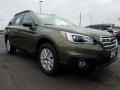 2017 Wilderness Green Metallic Subaru Outback 2.5i Premium  photo #1