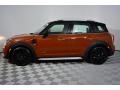 Chestnut - Countryman Cooper ALL4 Photo No. 3