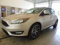 White Gold - Focus SEL Sedan Photo No. 6