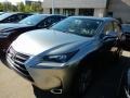Atomic Silver - NX 200t AWD Photo No. 1