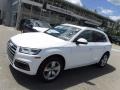 Ibis White - Q5 2.0 TFSI Premium Plus quattro Photo No. 1