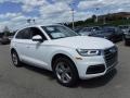 Ibis White 2018 Audi Q5 2.0 TFSI Premium Plus quattro Exterior