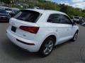 Ibis White - Q5 2.0 TFSI Premium Plus quattro Photo No. 11