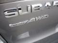 Spark Silver Metallic - Forester 2.5 X Premium Photo No. 5