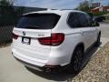 Alpine White - X5 xDrive35i Photo No. 4