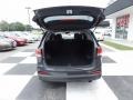 Platinum Graphite - Sorento LX Photo No. 5