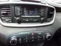 Platinum Graphite - Sorento LX Photo No. 17