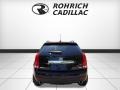 Black Raven - SRX Luxury AWD Photo No. 4